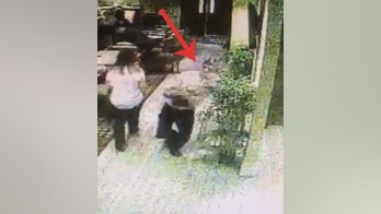 Waiter falls while carrying four meals, doesn't drop a single plate