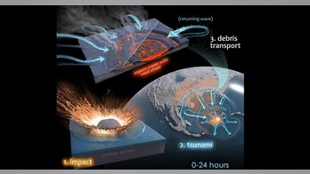Massive asteroid explosion that killed the dinosaurs benefited bacteria, study says