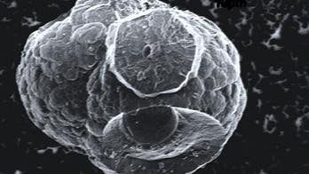 ‘Flammable ice’ discovery could offer new clue to potential alien life, study claims