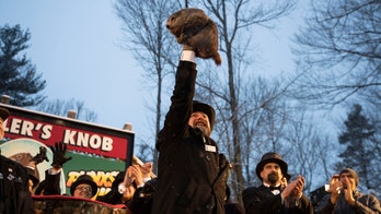 Groundhog Day: Punxsutawney Phil's predictions over the last 5 decades