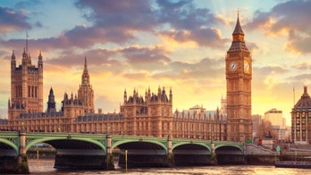 London sees first coronavirus case in Chinese national: report