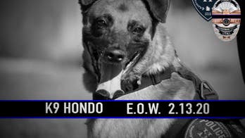 Police dog killed in line of duty to be honored with custom painted casket