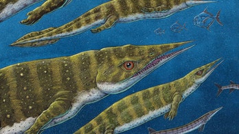 'Weird' reptile with long snout that lived 200M years ago discovered in Alaska