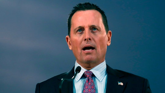 Amb. Richard Grenell: Trump's tweeting 'makes my job so much easier'