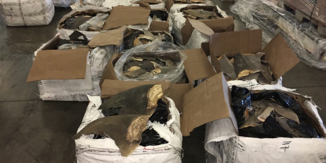 Officials estimate the total commercial value of 18 boxes of fins to be between $700,000 and $1 million. (U.S. Fish and Wildlife Service via AP)