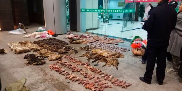 FILE: Police look at items seized from store suspected of trafficking wildlife in Guangde city in central China's Anhui Province.