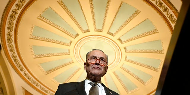Melissa Francis: Americans will be 'very frustrated' if coronavirus becomes politicized 2 Senate Minority Leader Sen. Chuck Schumer of N.Y., listens during a news conference on Capitol Hill in Washington, Tuesday, Feb. 25, 2020. (AP Photo/Susan Walsh)