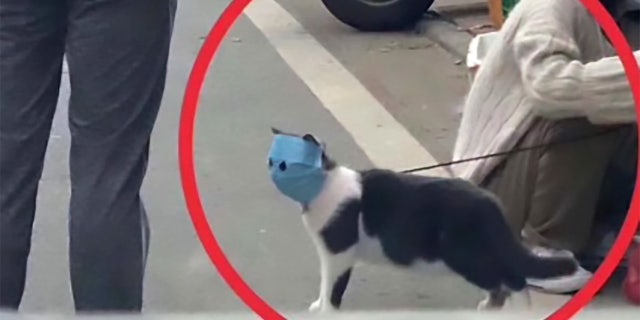 An example of a makeshift mask.
