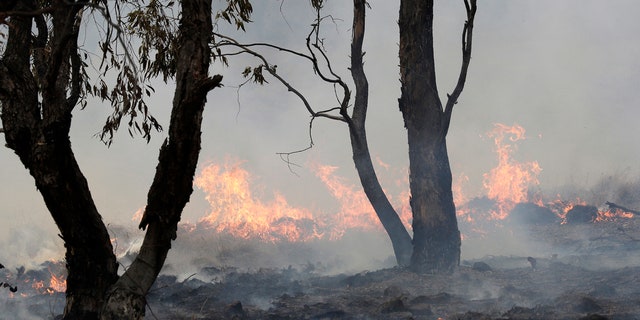 A spot fire burns near Bredbo, south of the Australian capital, Canberra, Sunday, Feb. 2, 2020.