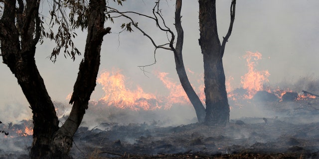 A spot fire burns near Bredbo, south of the Australian capital, Canberra, Sunday, Feb. 2, 2020.