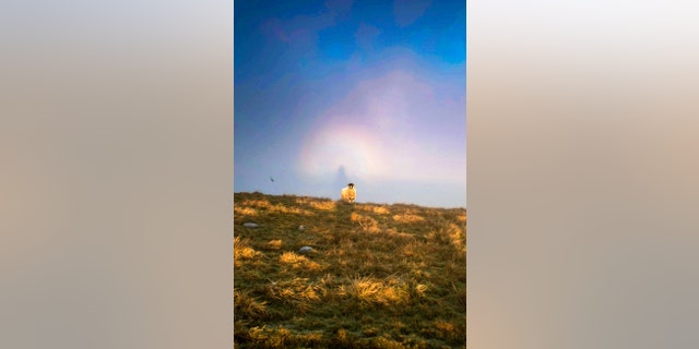 The weather phenomenon can be seen in mountainous areas. (Lee Howdle/SWNS)