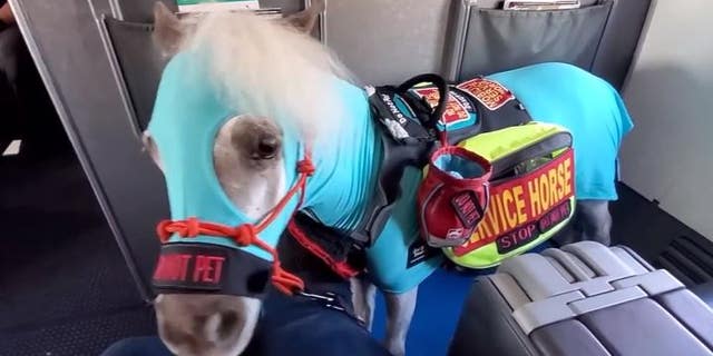 A Michigan woman is sharing the positive “tail” of her recent American Airlines flights with a miniature service horse.