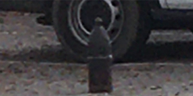 L'obus d'artillerie de la guerre civile découvert au centre-ville de Charleston. (Département de police de Charleston)