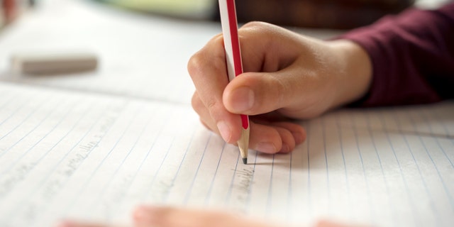 The boy said that he was “angry” that his teacher, Ms. Jones, “took 25 of my hummingbird bucks” as a punishment for talking in class. (Photo: iStock)