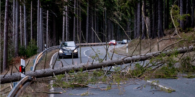 A tree blocks a road in the Taunus region in a strong storm near Frankfurt, Germany, Sunday, Feb. 9, 2020.