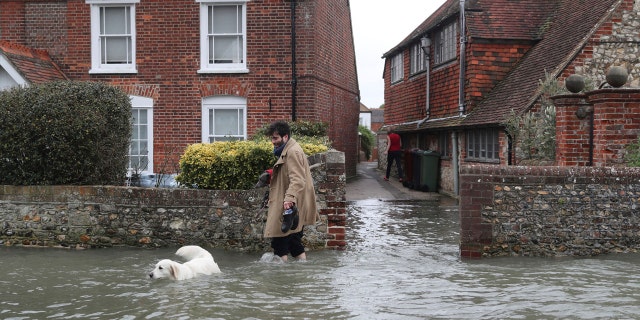 A man walks with a dog in flood water, in the aftermath of Storm Ciara, in Bosham, Sussex , England, Monday Feb. 10, 2020.