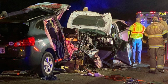 Georgia Crash On Interstate 95 Leaves 6 Dead, Including 3 Children ...