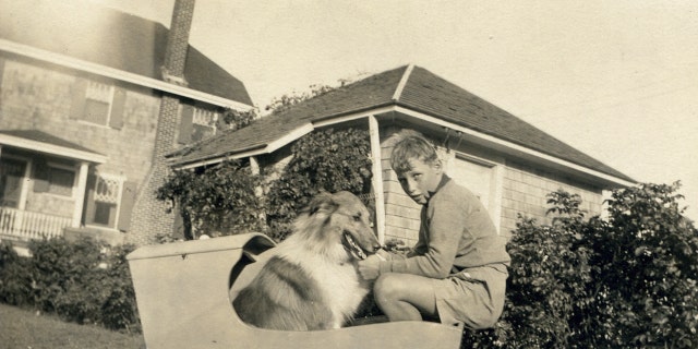 Harry Gray in Arlington, Massachusetts