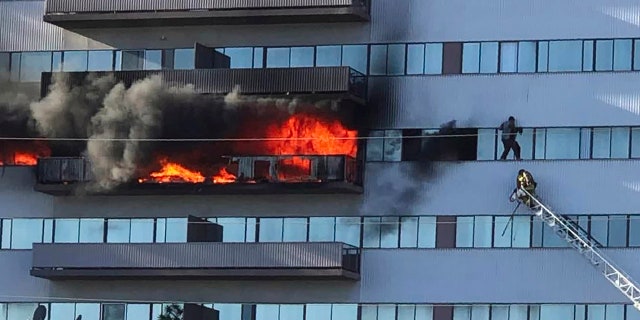 This image from video by Jenna Fabian shows a Los Angeles Fire Department firefighter on a ladder rescuing a man who had climbed out on the side of a 25-story high-rise apartment, escaping flames from a burning apartment balcony, after a fire broke out on a sixth-floor balcony and sent choking smoke billowing through the upper levels in West Los Angeles Wednesday, Jan. 29, 2020. (Courtesy of Jenna Fabian via AP)