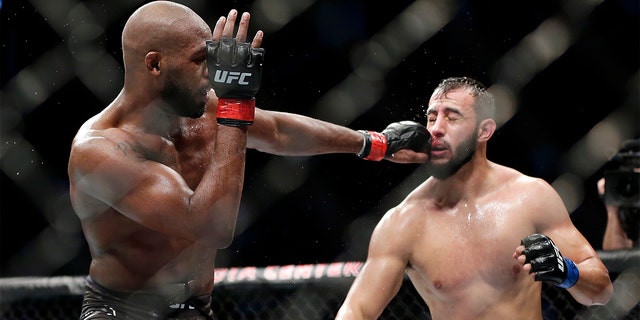 Jon Jones, left, connects with a punch to the face of Dominick Reyes, right, during a light heavyweight mixed martial arts bout at UFC 247 in Houston. (AP Photo/Michael Wyke)