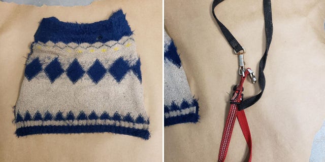 The dog was still wearing a sweater and leash when the police found it inside the crate.