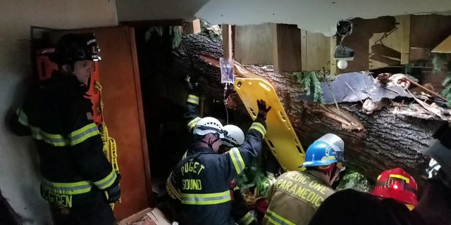Fire officials since the tree was across the man's pelvis, specialized equipment and trained technicians were requested.