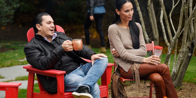 'Real Housewives of New York' stars Michael Wainstein and Julianne Wainstein reportedly got into a heated argument that led to her arrest.
