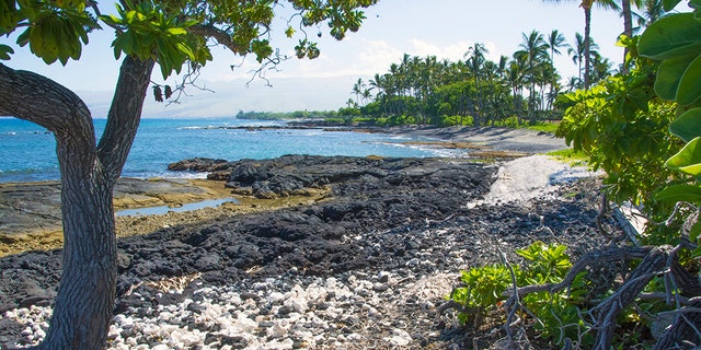 Coral fragments and lava rock on the South Kohala coast. Big Island, Hawaii.