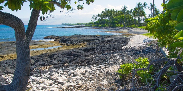 Coral fragments and lava rock on the South Kohala coast. Big Island, Hawaii.