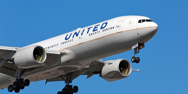 united airlines baggage fees for international flights