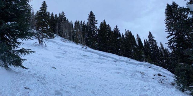 Recent avalanches in a particular area are a warning sign that more may be possible.
