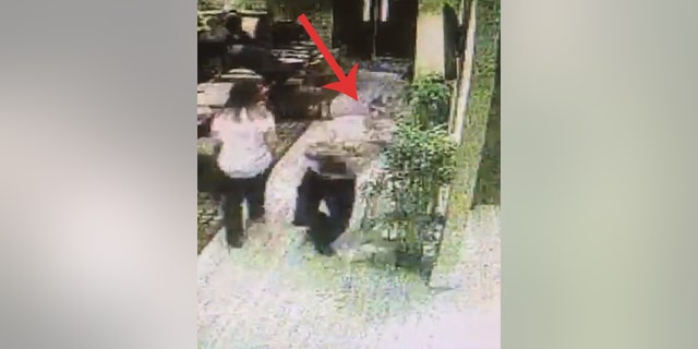 Server Jamie Shoebridge, 24, later admitted he was “quite impressed” with himself for not spilling the meals.