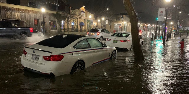 In this photo released by Adam Fowler, vehicles sit parked in on the side of a main road in floodwater, Wednesday, Feb. 6, 2020, in Tuscaloosa, Alabama.
