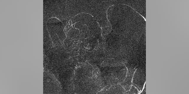 Le Christ infantile original et l'ange ailé, cartographié par balayage pour le zinc en utilisant MA-XRF. (Crédit: Imperial College London)