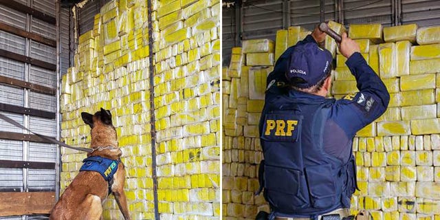Drug-sniffing dogs led police to a false wall inside the trailer where the bricks were hidden.