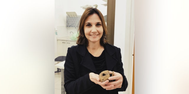 Dr. Hila May holds a hadrosaur vertebra. (Credit: Tel Aviv University)