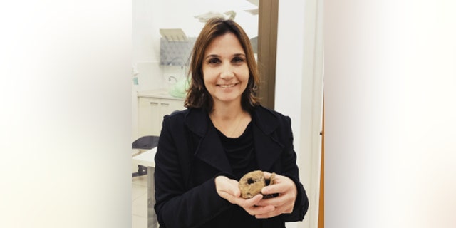 Cancer seen in humans also found in 66M-year-old dinosaur fossil 2 Dr. Hila May holds a hadrosaur vertebra. (Credit: Tel Aviv University)