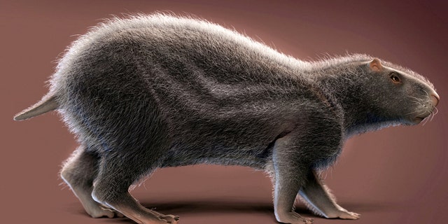 An artistic reconstruction of Neoepiblema acreensis. (Credit: SWNS)