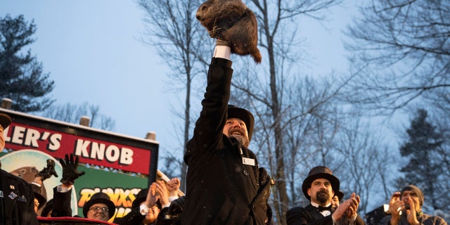 Groundhog Club co-handler Al Dereume holds Punxsutawney Phil, the weather predicting groundhog, during the 134th celebration of Groundhog Day on Gobbler's Knob on Feb. 2, 2020. 