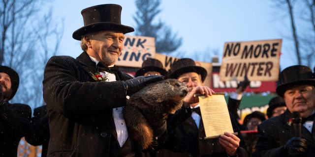 In 2020, Punxsutawney Phil's handlers said that the groundhog forecast an early spring, which means he didn't see his shadow.