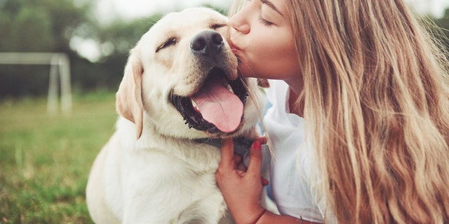 According to the Pet Census, 72% of dog owners said they have canceled plans to spend more time with their pets. (iStock)