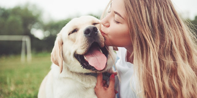 According to the Pet Census, 72% of dog owners said they have canceled plans to spend more time with their pets. (iStock)