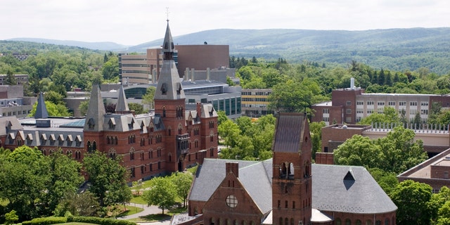 Edificios de la Universidad de Cornell vistos desde McGraw Tower. 