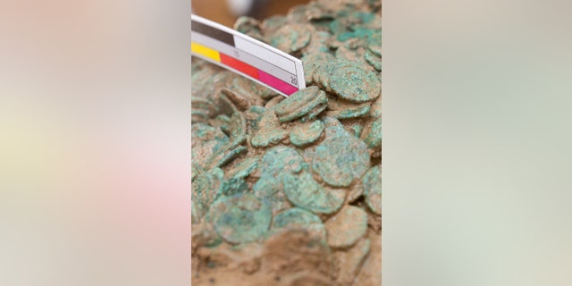 Neil Mahrer, Conservator for the Jersey Heritage Museum inspects some of the coins uncovered in Europe's largest hoard of Iron Age coins worth up to GBP10 million. (Credit: SWNS)