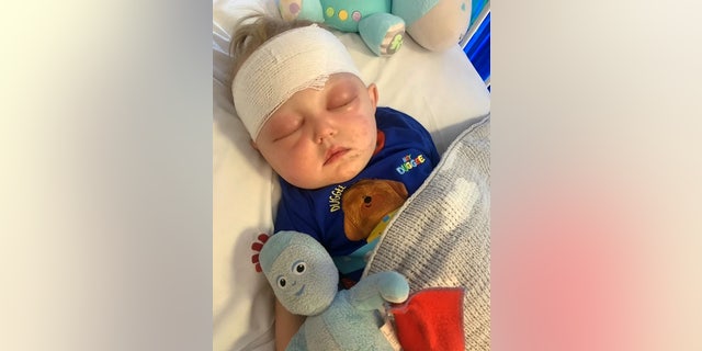 Ronnie following surgery.