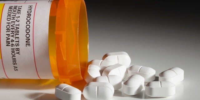 A bottle with a hydrocodone label and hydrocodone tablets spilling out isolated on white background.