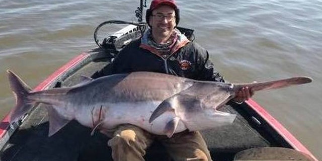 Justin Hamlin of Kerryville, Okla., caught a whopping 157-lb. paddlefish on Valentine's Day while fishing at Keystone Lake. State law forced him to return the fish to the water because Mondays and Fridays are catch-and-release days. (Oklahoma Department of Wildlife)