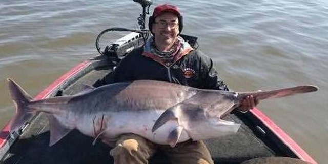 Justin Hamlin of Kerryville, Okla., caught a whopping 157-lb. paddlefish on Valentine's Day while fishing at Keystone Lake. State law forced him to return the fish to the water because Mondays and Fridays are catch-and-release days. (Oklahoma Department of Wildlife)