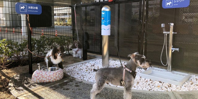 Osaka International Airport put up the first of its kind pup potty, which is a fenced-in area outside one of the airport’s pick-up and drop-off areas.