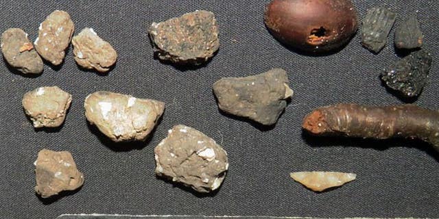 Rare pottery and tool fragments found at the site include (on the left) parts of a Carinated Bowl. On the right, from the same site, are some ancient twigs and hazelnuts.